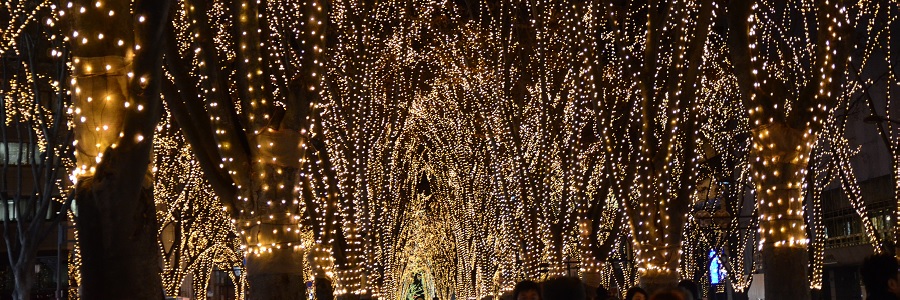 Sendai Pageant of Starlight